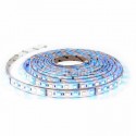 Banda led RGBW CALD