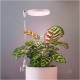Lampa led pentru plante 10W ajustabila