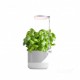 Lampa led pentru plante 10W ajustabila