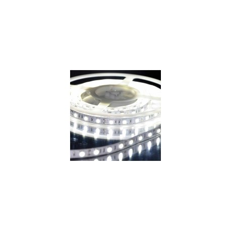 Banda ledSMD 5050 60buc/m exterior